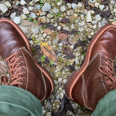 Search result thumbnail of John Lofgren M-43 Service Shoes in Vegetable-tanned, Aniline-finished Italian Horsehide