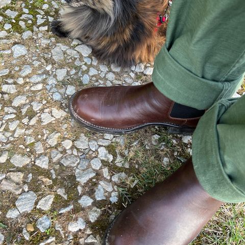 View photo of Addict Boots AB-03 Chelsea Boots in Brown Horsehide