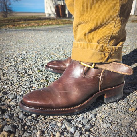 Quan Shoemaker Engineer in Maryam Brown Horsebutt