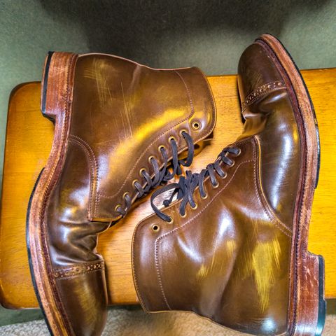 Meermin Derby Boot in Shinki Olive Shell Cordovan