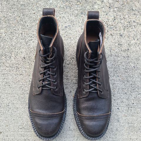 Search result thumbnail of Truman Service Boot in Horween Black Waxed Flesh