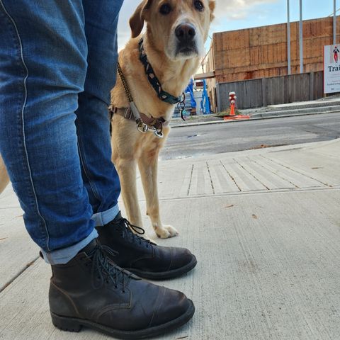 View photo of Truman Service Boot in Horween Black Waxed Flesh