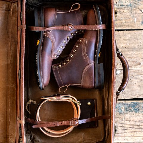 Nicks Falcon in Italian Brown Cypress
