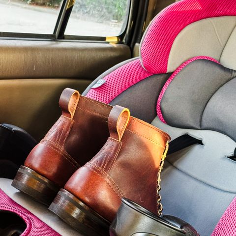 Nicks Falcon in Italian Brown Cypress