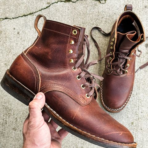 Nicks Falcon in Italian Brown Cypress