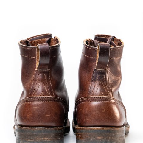 Nicks Falcon in Italian Brown Cypress