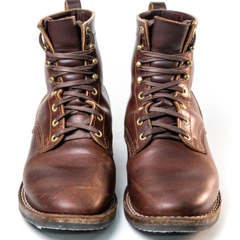 Nicks Falcon in Italian Brown Cypress