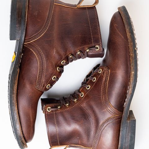 Nicks Falcon in Italian Brown Cypress