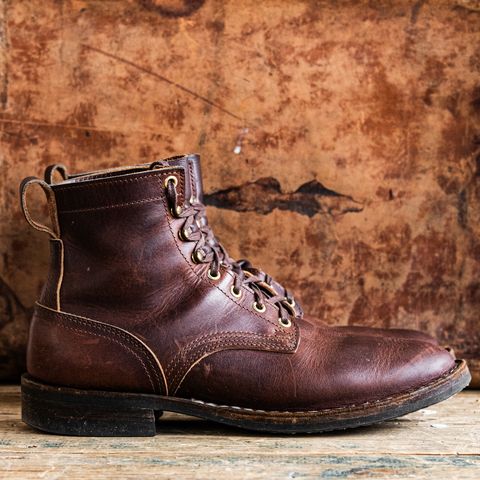 Nicks Falcon in Italian Brown Cypress