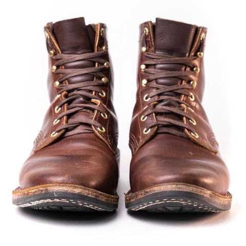 Nicks Falcon in Italian Brown Cypress