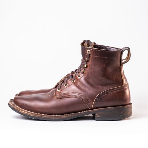 Nicks Falcon in Italian Brown Cypress