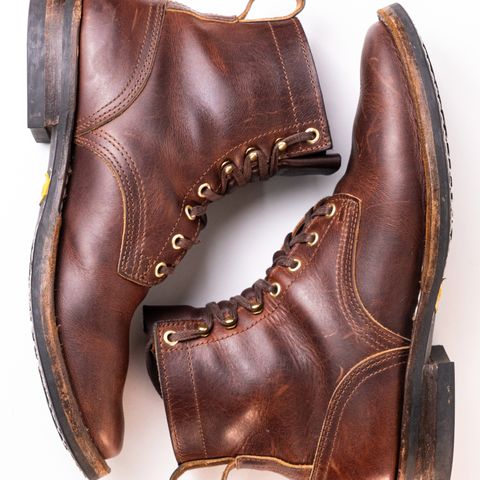Nicks Falcon in Italian Brown Cypress