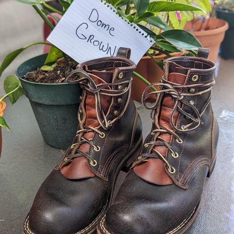 Nicks Falcon in Horween Brown Waxed Flesh
