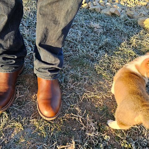 View photo of Rolling Dub Trio Stan in Horween Brown Chromexcel