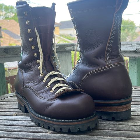 Canada West Red Dog Lace To Toe CSA Logger - 34363 in Seidel Red Dog Oil Tan