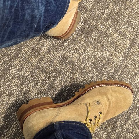 Chippewa Type 1 Service Boot in Sand Roughout