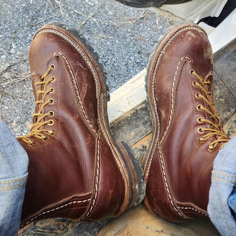 Wesco Jobmaster in Seidel Red Dog Oil Tan