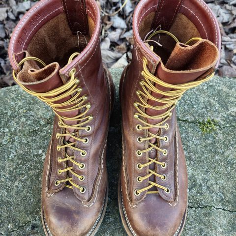 Wesco Jobmaster in Seidel Red Dog Oil Tan