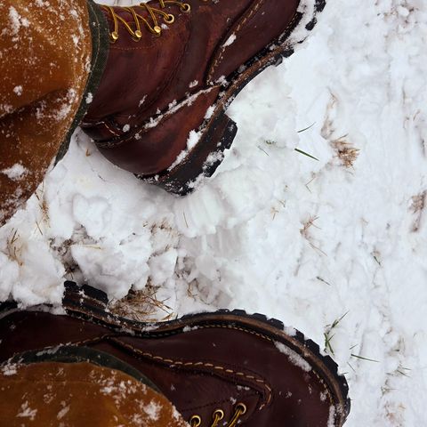 Wesco Jobmaster in Seidel Red Dog Oil Tan