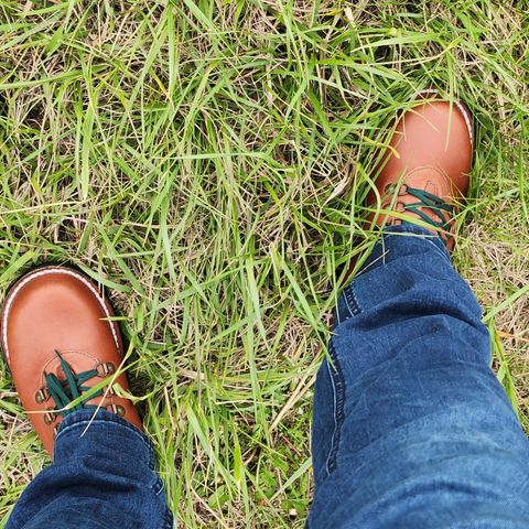 Jim Green Razorback in Tan Full Grain