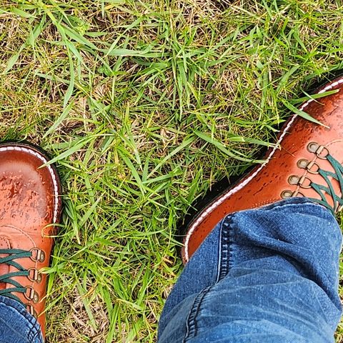 Jim Green Razorback in Tan Full Grain