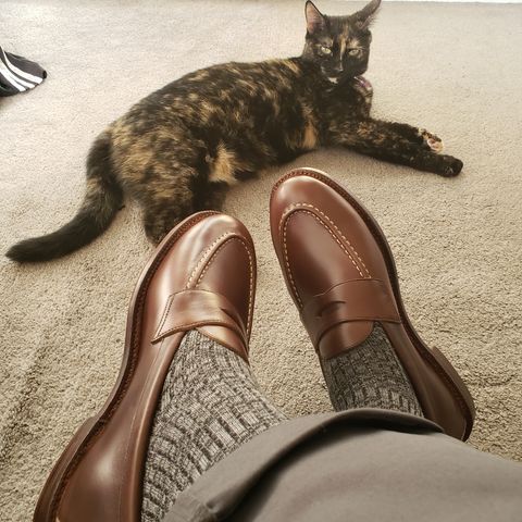 Grant Stone Traveler Penny in Horween Crimson Chromexcel
