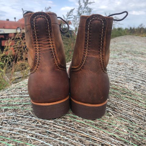 Red Wing Iron Ranger in S.B. Foot Copper Rough and Tough