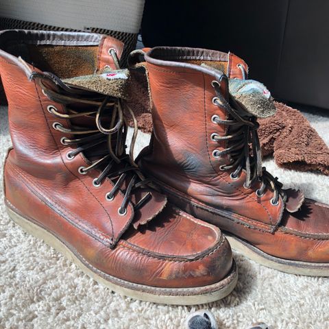 Search result thumbnail of Red Wing 8-Inch Classic Moc in S.B. Foot Oro Legacy