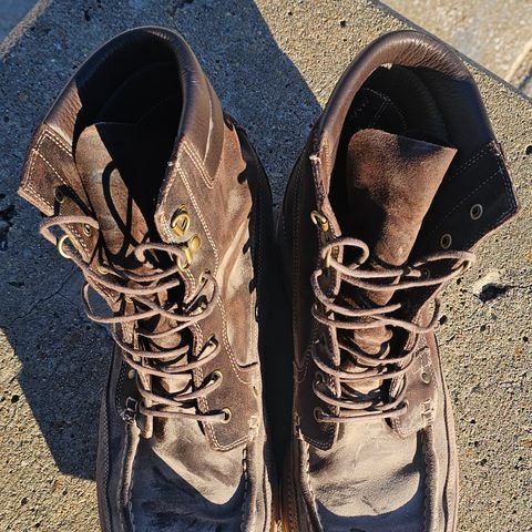 Grant Stone Field Boot in C.F. Stead Earth Waxy Commander Suede