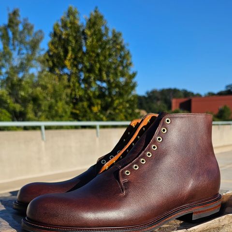 Viberg Wholecut Derby Boot in Horween Rowdy Dachshund