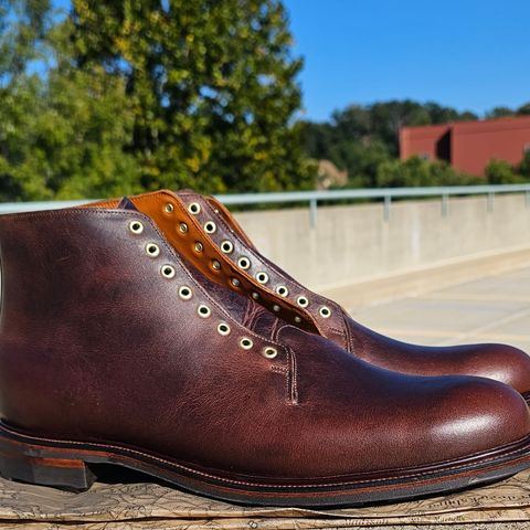Viberg Wholecut Derby Boot in Horween Rowdy Dachshund