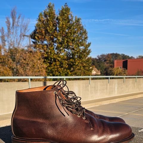 Viberg Wholecut Derby Boot in Horween Rowdy Dachshund