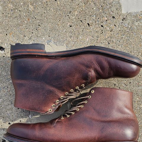 Viberg Wholecut Derby Boot in Horween Rowdy Dachshund