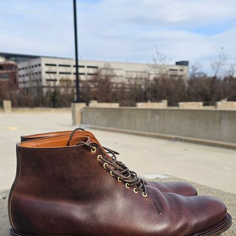 Viberg Wholecut Derby Boot in Horween Rowdy Dachshund