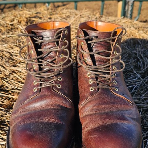 Viberg Wholecut Derby Boot in Horween Rowdy Dachshund