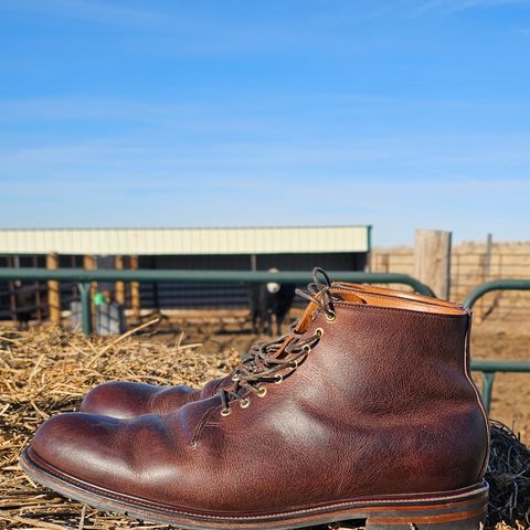 Viberg Wholecut Derby Boot in Horween Rowdy Dachshund