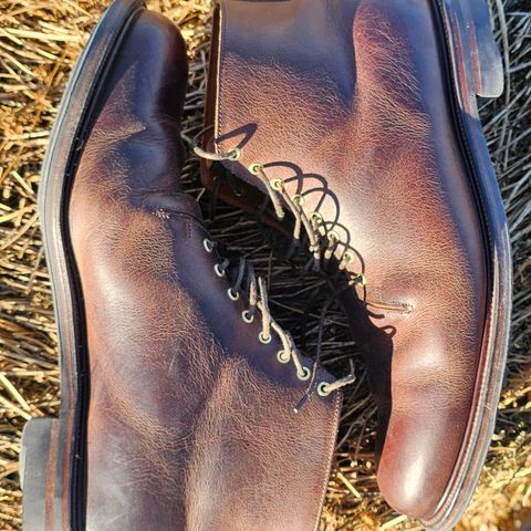Viberg Wholecut Derby Boot in Horween Rowdy Dachshund