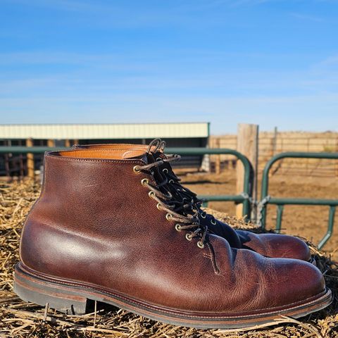 Viberg Wholecut Derby Boot in Horween Rowdy Dachshund