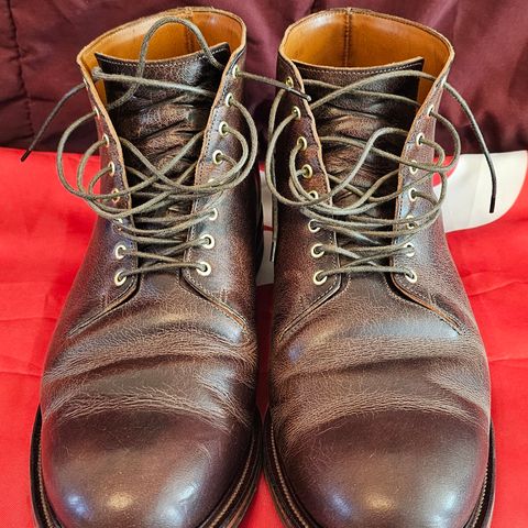 Viberg Wholecut Derby Boot in Horween Rowdy Dachshund