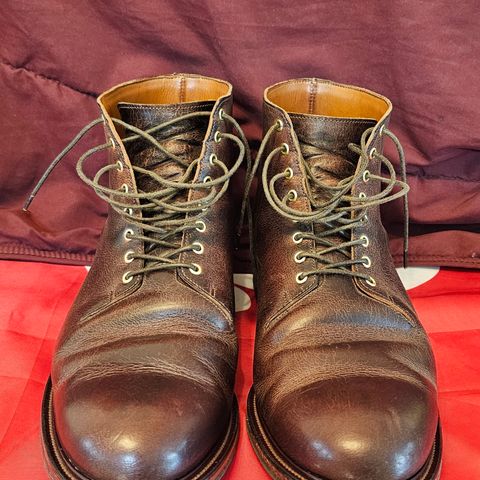 Viberg Wholecut Derby Boot in Horween Rowdy Dachshund