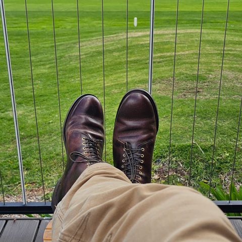 Viberg Wholecut Derby Boot in Horween Rowdy Dachshund