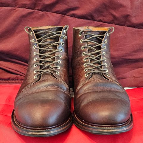 Viberg Wholecut Derby Boot in Horween Rowdy Dachshund