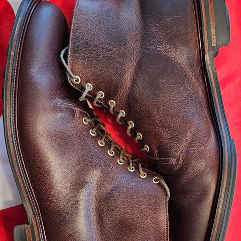 Viberg Wholecut Derby Boot in Horween Rowdy Dachshund