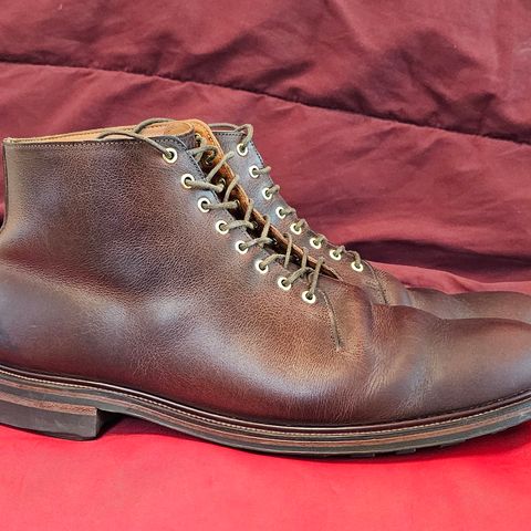 Viberg Wholecut Derby Boot in Horween Rowdy Dachshund