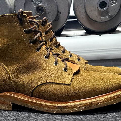 Truman Plain Toe Boot in Dark Coyote Roughout