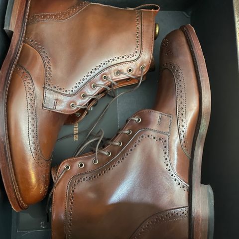 Allen Edmonds Dalton Wingtip Dress Boot in Dark Chili Calfskin