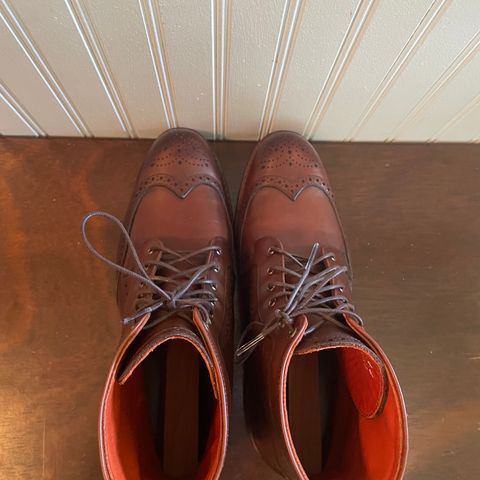 Allen Edmonds Dalton Wingtip Dress Boot in Dark Chili Calfskin