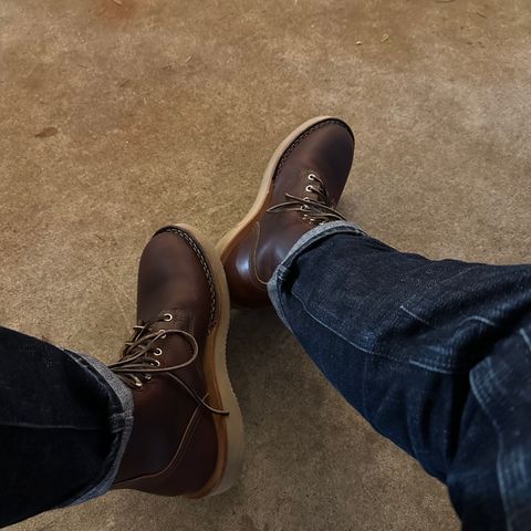 Nicks Free Range in Wickett & Craig Buck Brown Double Stuffed