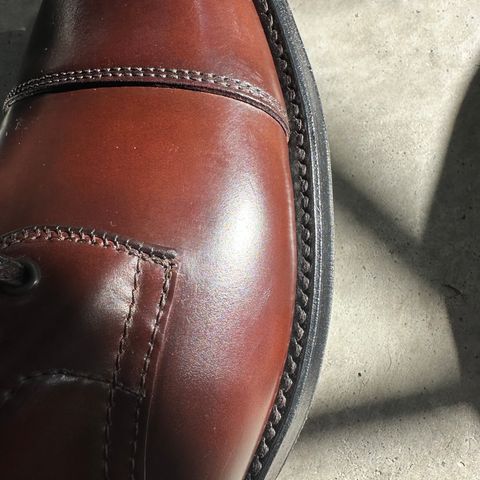 Alden Straight Tip Boot in Horween Color 8 Shell Cordovan
