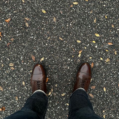 Alden Straight Tip Boot in Horween Color 8 Shell Cordovan